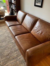 Zena Rose review photo
