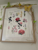 Anne-Catherine BUCHER review photo