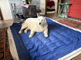 Heide Arneson review photo