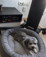 KOFI review photo