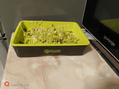 Review picture