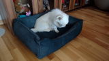 Jolanta review photo