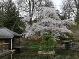 Wolfgang H. review photo
