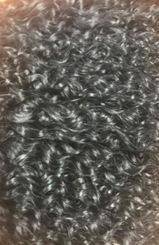 judy pavao review photo