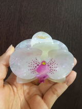 Gabriela review photo