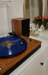 Alexandr G. review photo