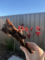 @sully_groodle review photo