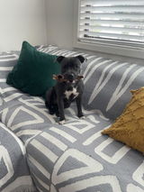 Anonymous review photo