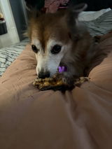 Shelly review photo