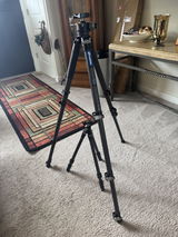 Riley review photo