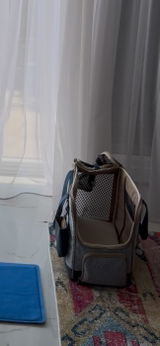 San review photo