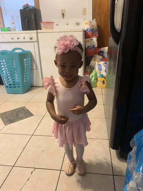 Light Pink Toddler & Girls Flutter Ballet Dance Skirt