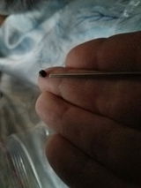 inked_dragon review photo