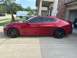 Customer W. review photo