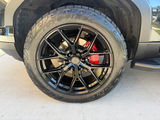 Newtampa review photo