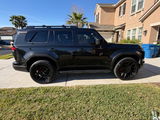 Newtampa review photo