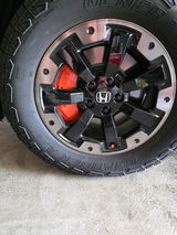 Jim D. review photo