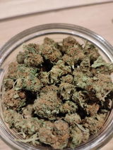 Julien M. review photo