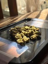 Hugo review photo