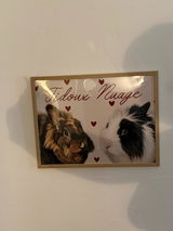 Leanne Balleux review photo
