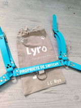 Puppy Lyro review photo