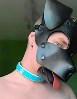 Puppy Lyro review photo