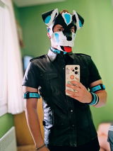 Puppy Lyro review photo