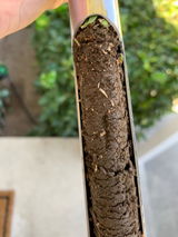 mattphat23 review photo