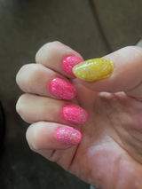 Desi Borer review photo