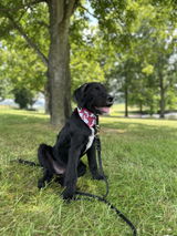 Brooke Kleber review photo