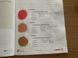 Chantal B. review photo