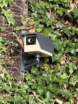 Ralf R. review photo