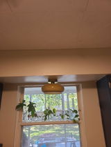Vera R. review photo