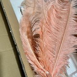 Andrea review photo