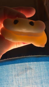 Anonymous review photo