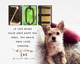 Etsy customer review photo