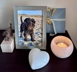Boyd Raimond review photo