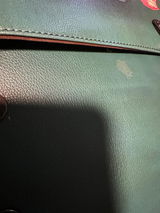 BeaWise review photo