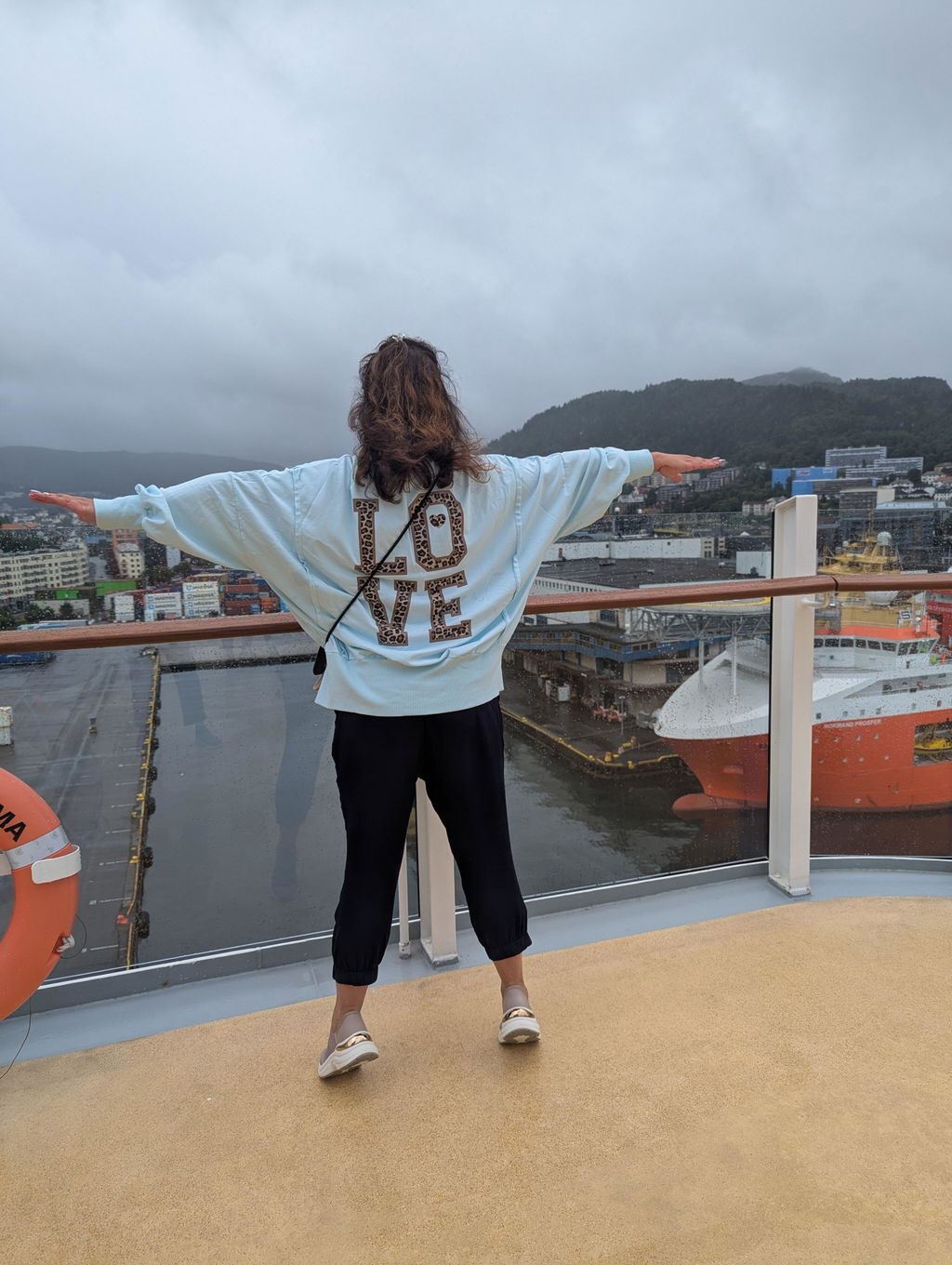 Sweatshirt Jacke 2604140