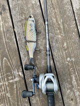 ivan review photo