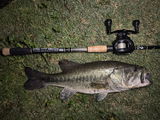 swimbait_e review photo