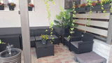 Imre review photo