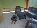 Zsuzsa review photo