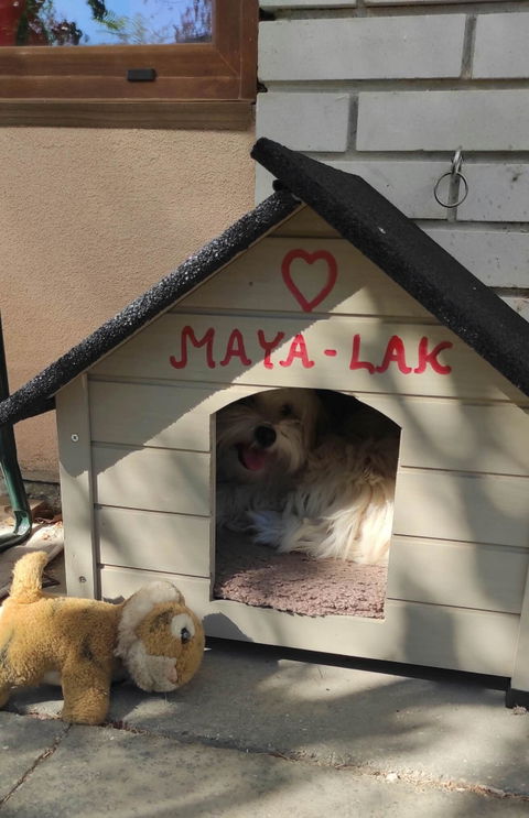 Doggie Premium hőszigetelt kutyaház "M"
