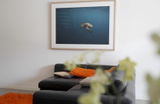 Mick & Janene ~ St Kilda, VIC review photo