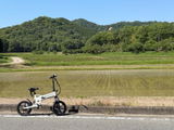 たけお review photo