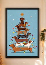 Merrypaws review photo