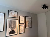 Licht-Kraus review photo