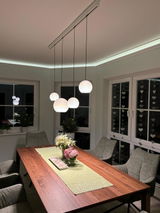 Licht-Kraus review photo