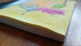 Lalaith review photo